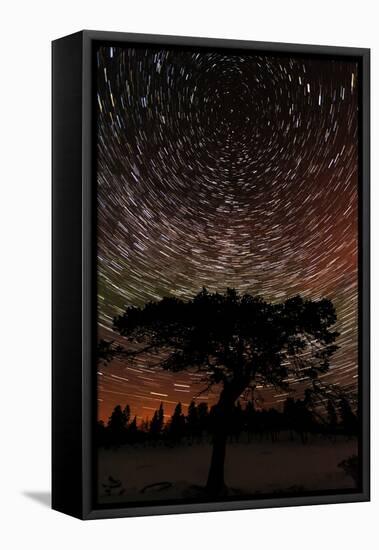 Sweden, Norrbotten, Abisko. Winter night with star circles and a hint of Northern Light.-Fredrik Norrsell-Framed Premier Image Canvas