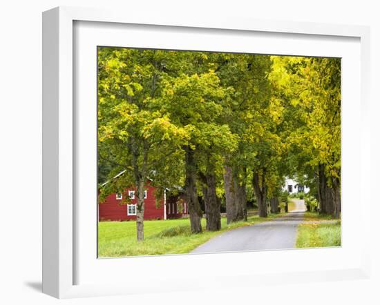 Sweden, Smaland, Ahornallee with Farmhouse in Savsjo, Autumn-K. Schlierbach-Framed Photographic Print