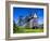 Sweden, Smaland, Oland, Traditional Windmill in Vickleby-K. Schlierbach-Framed Photographic Print