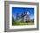 Sweden, Smaland, Oland, Traditional Windmill in Vickleby-K. Schlierbach-Framed Premium Photographic Print