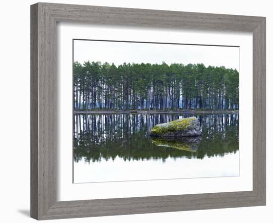 Sweden, Stone Storsjon Lake in ostersund, Pine Forest Island-K. Schlierbach-Framed Photographic Print