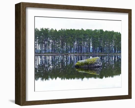 Sweden, Stone Storsjon Lake in ostersund, Pine Forest Island-K. Schlierbach-Framed Photographic Print