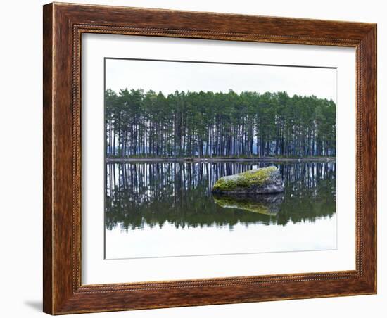 Sweden, Stone Storsjon Lake in ostersund, Pine Forest Island-K. Schlierbach-Framed Photographic Print