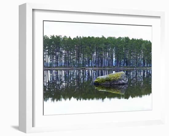 Sweden, Stone Storsjon Lake in ostersund, Pine Forest Island-K. Schlierbach-Framed Photographic Print
