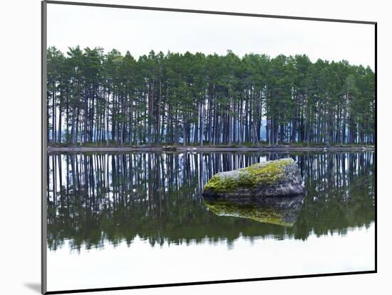 Sweden, Stone Storsjon Lake in ostersund, Pine Forest Island-K. Schlierbach-Mounted Photographic Print