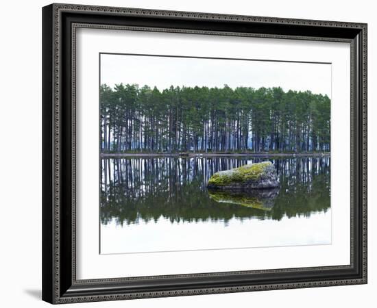 Sweden, Stone Storsjon Lake in ostersund, Pine Forest Island-K. Schlierbach-Framed Photographic Print