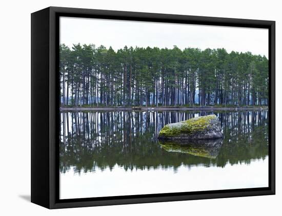 Sweden, Stone Storsjon Lake in ostersund, Pine Forest Island-K. Schlierbach-Framed Premier Image Canvas
