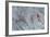 Sweden, Vastra Gotaland County, North of Bohuslan, Tanum-null-Framed Giclee Print