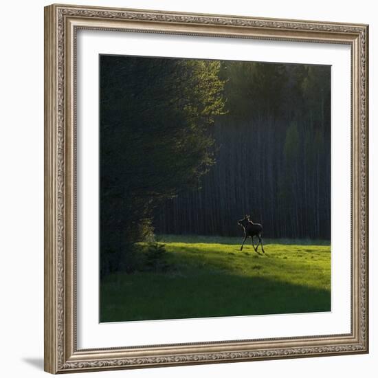 Sweden-Maciej Duczynski-Framed Photographic Print