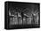 Swedish Gymnasts-Gjon Mili-Framed Premier Image Canvas