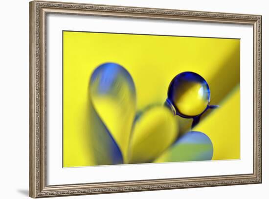 Swedish Kiss-Heidi Westum-Framed Photographic Print