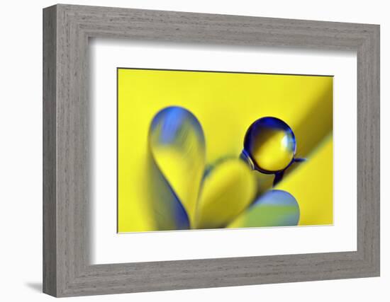 Swedish Kiss-Heidi Westum-Framed Photographic Print