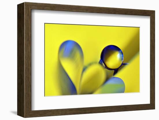 Swedish Kiss-Heidi Westum-Framed Photographic Print