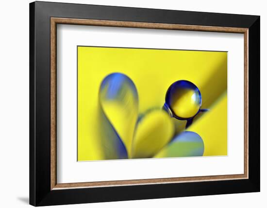 Swedish Kiss-Heidi Westum-Framed Photographic Print