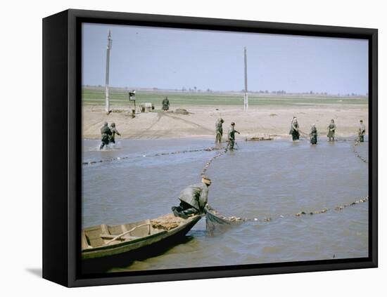 Sweep Net Fishing for Sturgeon at "Tanya" in Volga River Delta Nr. Astrakhan, Russia-Carl Mydans-Framed Premier Image Canvas