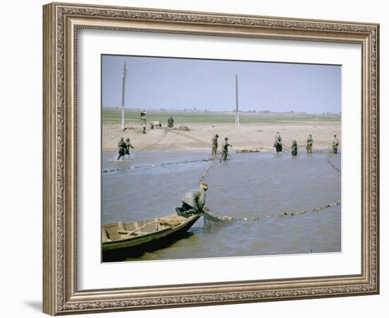 Sweep Net Fishing for Sturgeon at "Tanya" in Volga River Delta Nr. Astrakhan, Russia-Carl Mydans-Framed Photographic Print
