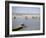 Sweep Net Fishing for Sturgeon at "Tanya" in Volga River Delta Nr. Astrakhan, Russia-Carl Mydans-Framed Photographic Print