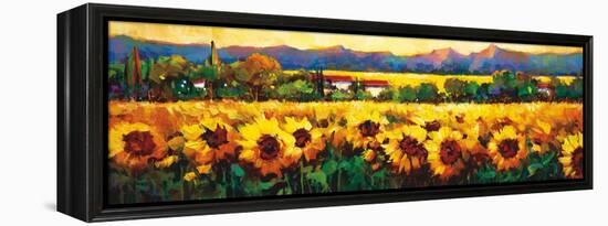 Sweeping Fields of Sunflowers-Nancy O'toole-Framed Stretched Canvas