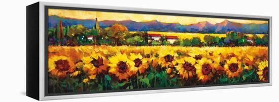 Sweeping Fields of Sunflowers-Nancy O'toole-Framed Stretched Canvas