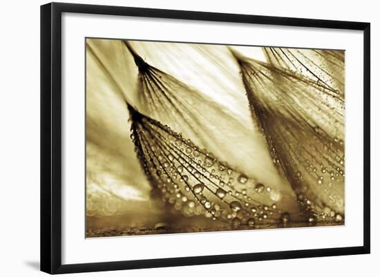 Sweeping in the Rain-Gold-Ursula Abresch-Framed Photographic Print