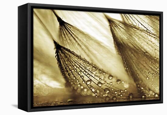 Sweeping in the Rain-Gold-Ursula Abresch-Framed Premier Image Canvas