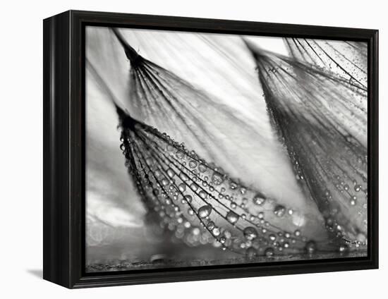 Sweeping in the Rain-Ursula Abresch-Framed Premier Image Canvas