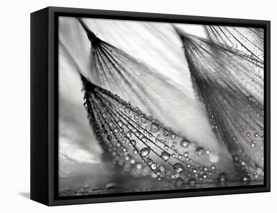 Sweeping in the Rain-Ursula Abresch-Framed Premier Image Canvas