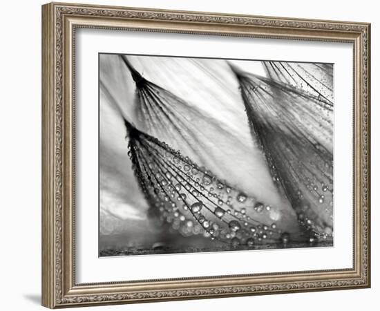 Sweeping in the Rain-Ursula Abresch-Framed Photographic Print