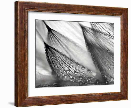 Sweeping in the Rain-Ursula Abresch-Framed Photographic Print