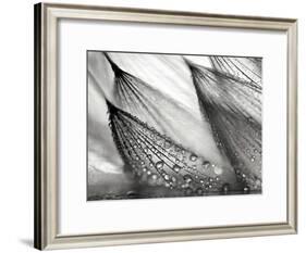 Sweeping in the Rain-Ursula Abresch-Framed Photographic Print