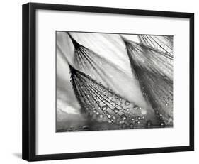 Sweeping in the Rain-Ursula Abresch-Framed Photographic Print
