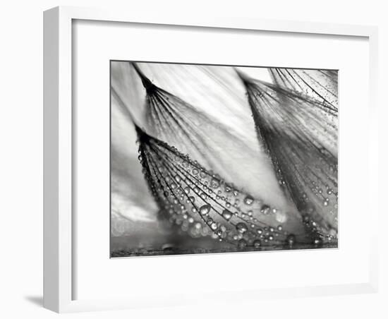 Sweeping in the Rain-Ursula Abresch-Framed Photographic Print