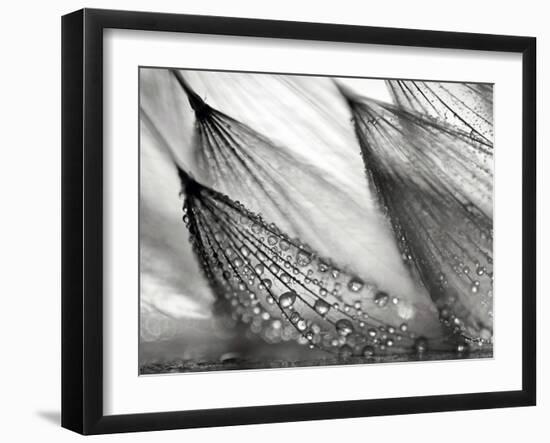 Sweeping in the Rain-Ursula Abresch-Framed Photographic Print