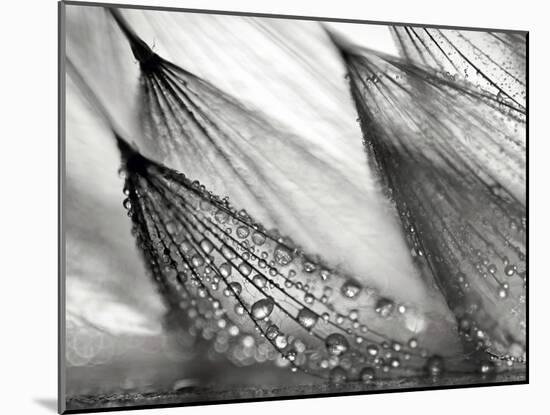 Sweeping in the Rain-Ursula Abresch-Mounted Photographic Print