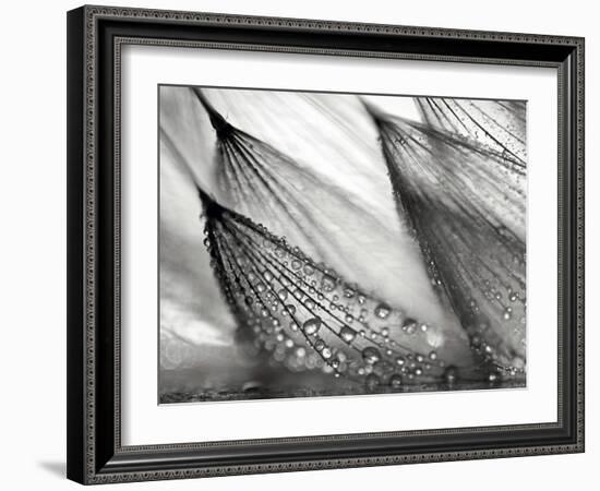 Sweeping in the Rain-Ursula Abresch-Framed Photographic Print