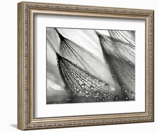 Sweeping in the Rain-Ursula Abresch-Framed Photographic Print