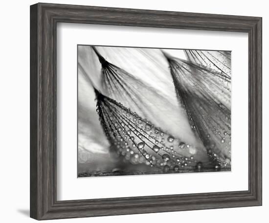 Sweeping in the Rain-Ursula Abresch-Framed Photographic Print