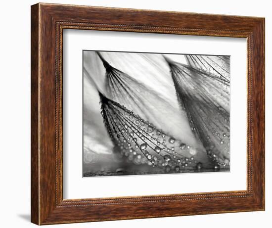 Sweeping in the Rain-Ursula Abresch-Framed Photographic Print