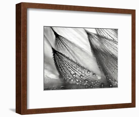 Sweeping in the Rain-Ursula Abresch-Framed Photographic Print