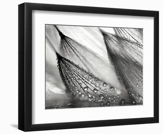 Sweeping in the Rain-Ursula Abresch-Framed Photographic Print