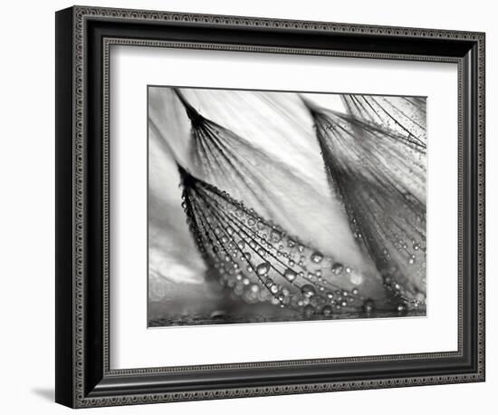 Sweeping in the Rain-Ursula Abresch-Framed Photographic Print