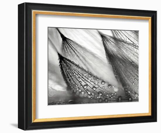 Sweeping in the Rain-Ursula Abresch-Framed Photographic Print