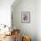 Sweet alyssum-Lisa Engelbrecht-Framed Photographic Print displayed on a wall