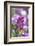 Sweet alyssum-Lisa Engelbrecht-Framed Photographic Print