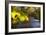 Sweet Automn-Viviane Fedieu Daniel-Framed Photographic Print