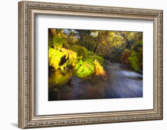 Sweet Automn-Viviane Fedieu Daniel-Framed Photographic Print