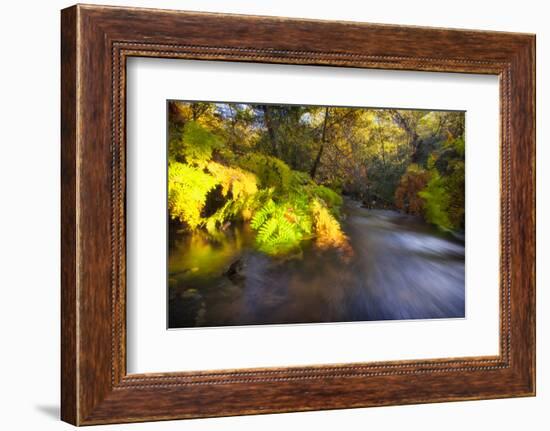 Sweet Automn-Viviane Fedieu Daniel-Framed Photographic Print