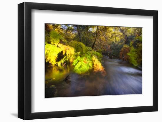 Sweet Automn-Viviane Fedieu Daniel-Framed Photographic Print