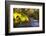 Sweet Automn-Viviane Fedieu Daniel-Framed Photographic Print