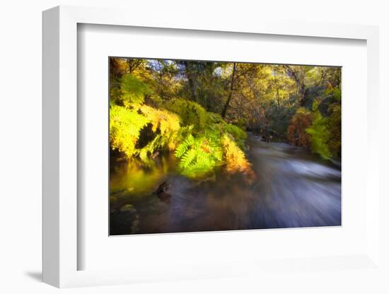 Sweet Automn-Viviane Fedieu Daniel-Framed Photographic Print